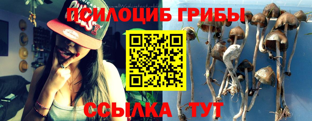 Псилоцибиновые грибы ЛСД Москва
