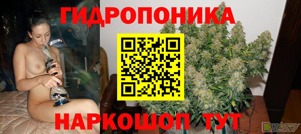 Конопля Amnesia  Каннабис план  Вход с VPN  Москва  Бошки Шишки Ganja  Шишки марихуана White Widow 